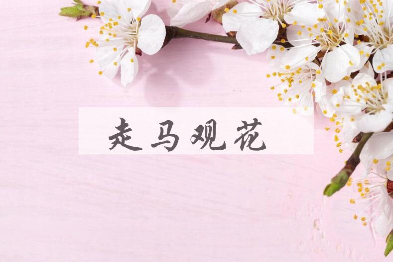 成语走马观花是什么意思？